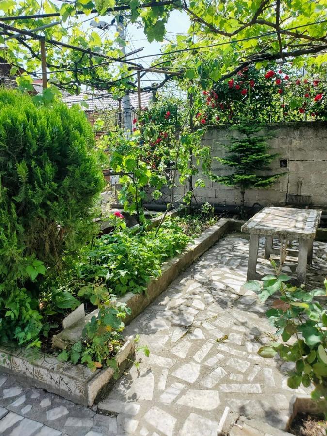 Lake Ohrid Guesthouse "Villa Valentina" Pogradec Exterior photo